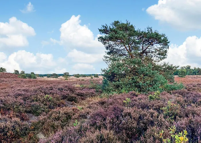 Dom wakacyjny 2 Bedroom Lovely In *